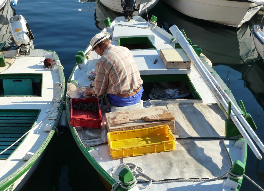 Fisherman in Rovinj - Colleen Friesen