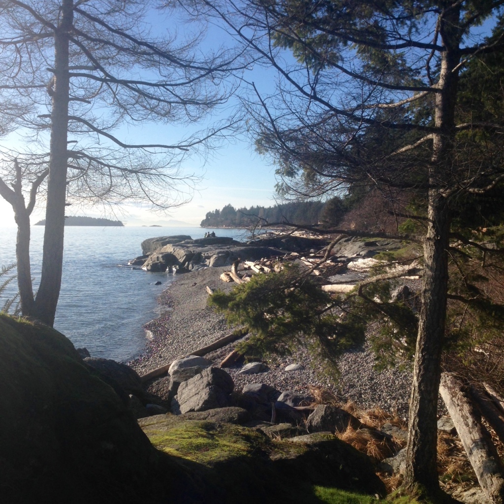 Seaside in Sechelt - Colleen Friesen