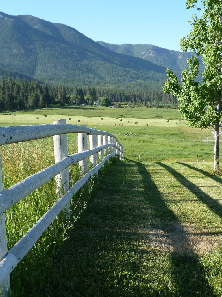 Montana Field