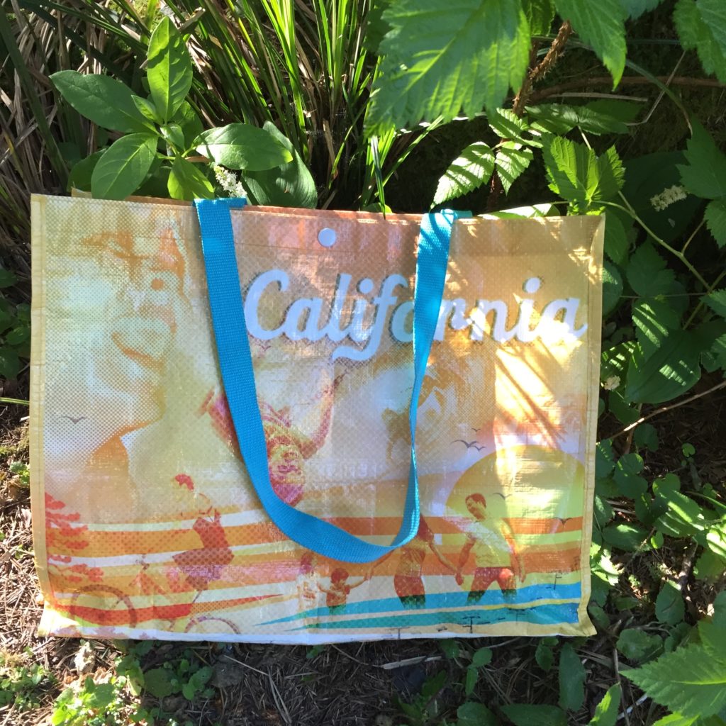 Plastic Shower Bag (Thanks California!) - Colleen Friesen