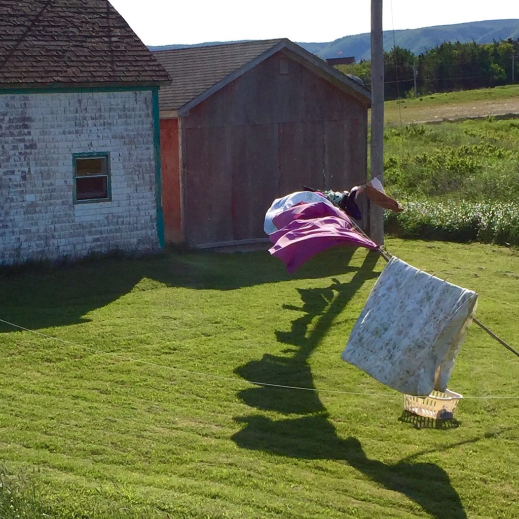 Snapping Laundry - Colleen Friesen