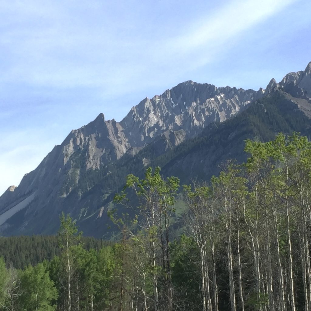 Mountains & Trees - Colleen Friesen