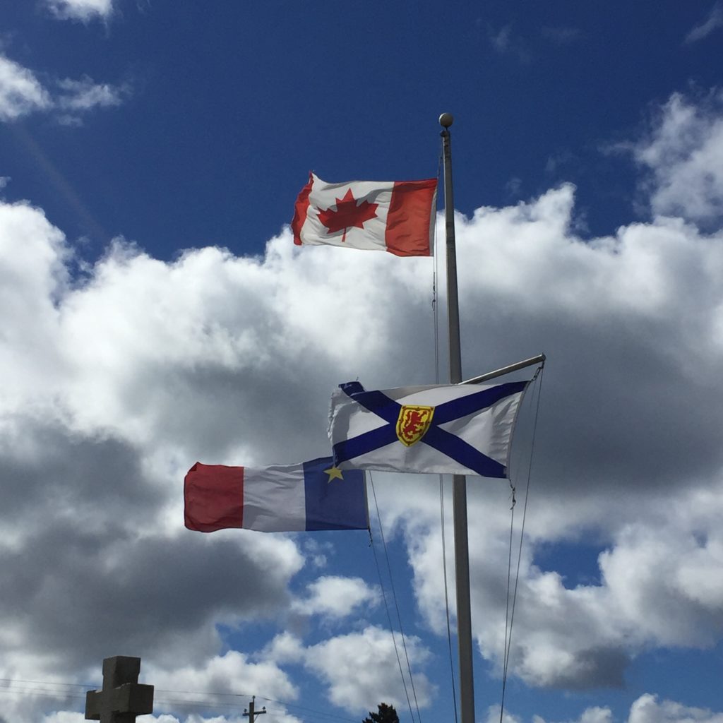 Flags in the Wind - Colleen Friesen