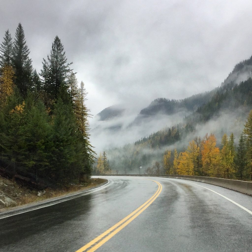 Foggy Road - Colleen Friesen